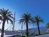 Апартаменты Adria Bay Apartment Tivat Донья-Ластва-2